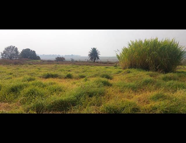 506.20HA FARM FOR SALE IN BLESBOKLAAGTE